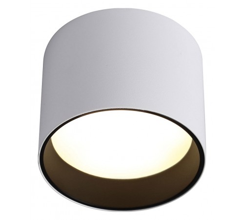 Накладной светильник Ambrella Light TN5303 TN