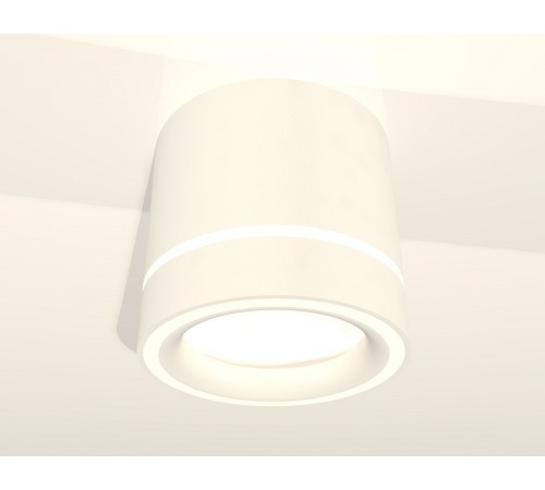 Накладной светильник Ambrella Light XS8110004 XS