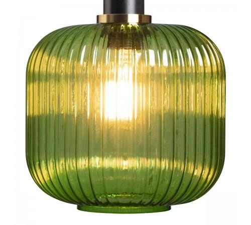 Подвесной светильник Loft it 2072-B+BL Iris 2