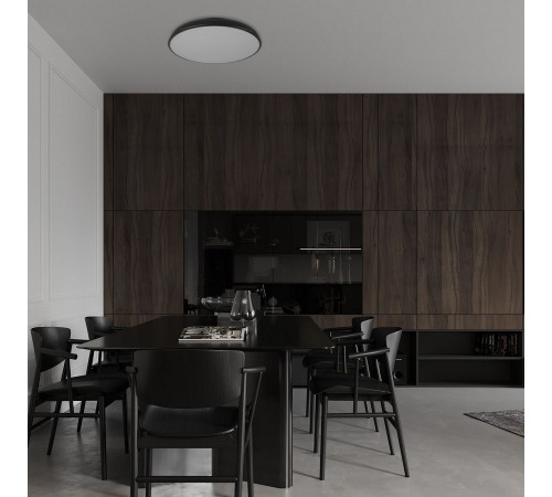 Накладной светильник Loft it 10371 Black Dime