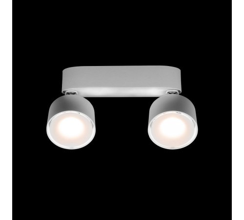 Спот Loft it 10323/2A White Focus