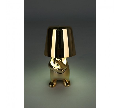 Зверь световой Aployt APL.675.04.01 Noell