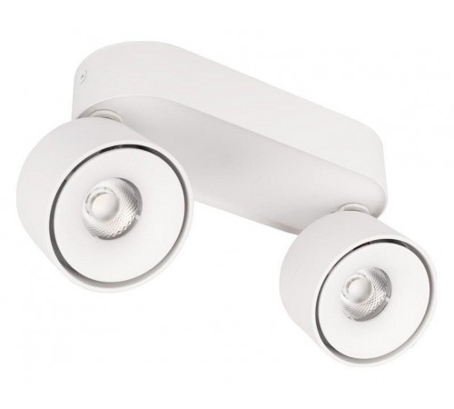 Спот Loft it 10323/2A White Focus