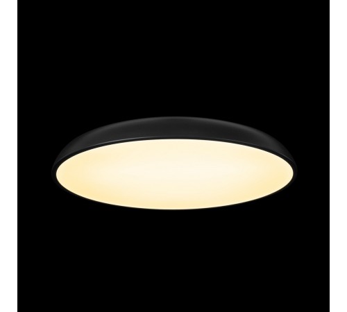 Накладной светильник Loft it 10371 Black Dime