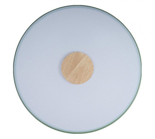 Накладной светильник Loft it 10003/24 Green Axel 2