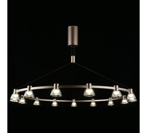 Подвесная люстра Aployt APL.788.03.15 Rezeda