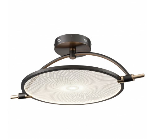 Светильник на штанге Wertmark WE430.02.027 Laura