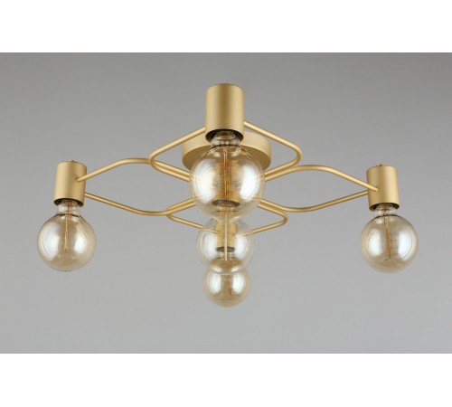 Потолочная люстра Aployt APL.911.07.05 Elison