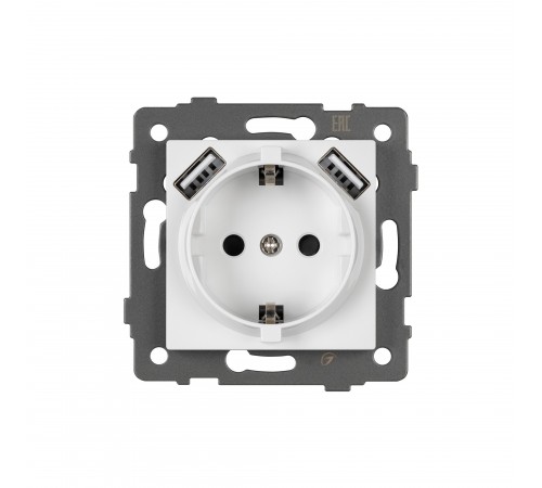 Розетка с заземлением и 2хUSB type A, без рамки Arlight 49818 SCT