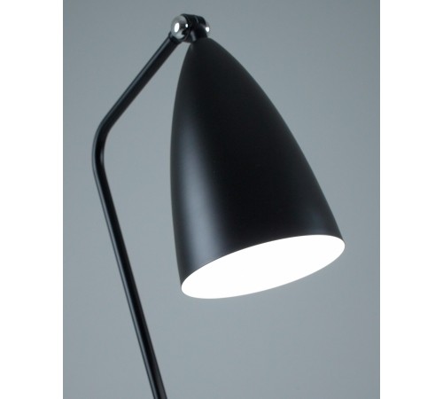 Торшер Moderli V10999-F Show