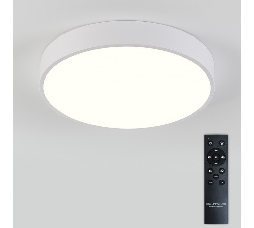 Накладной светильник Natali Kovaltseva LED LAMPS 81111/5C