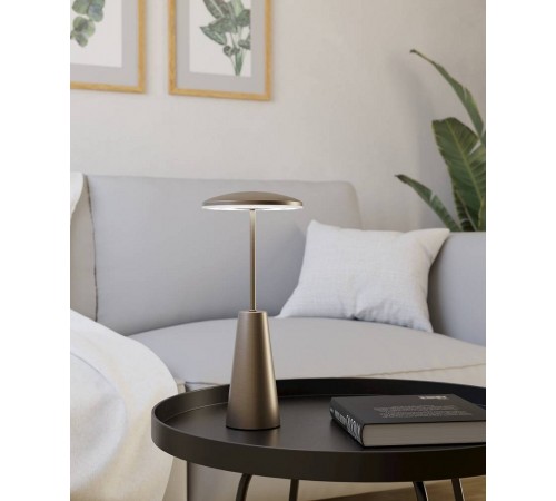 Настольная лампа декоративная Eglo 900924 PICCOLA