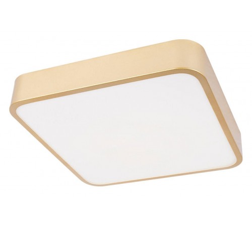 Накладной светильник Loft it 10228/C Flims