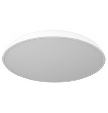 Накладной светильник Loft it 10371 White Dime
