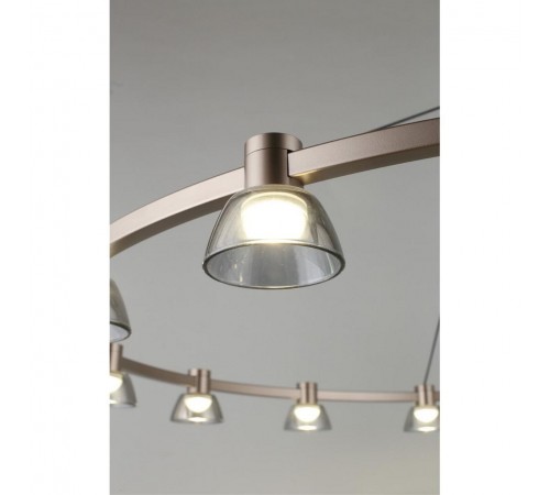 Подвесная люстра Aployt APL.788.03.15 Rezeda