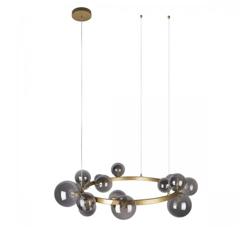 Подвесная люстра Loft it 10139/850 Molecule