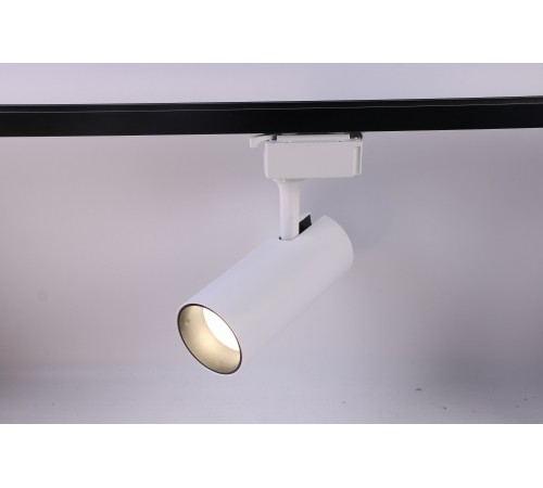 Светильник на штанге Эра TR5-20 COB WH