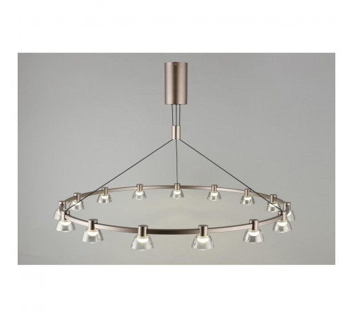 Подвесная люстра Aployt APL.788.03.15 Rezeda