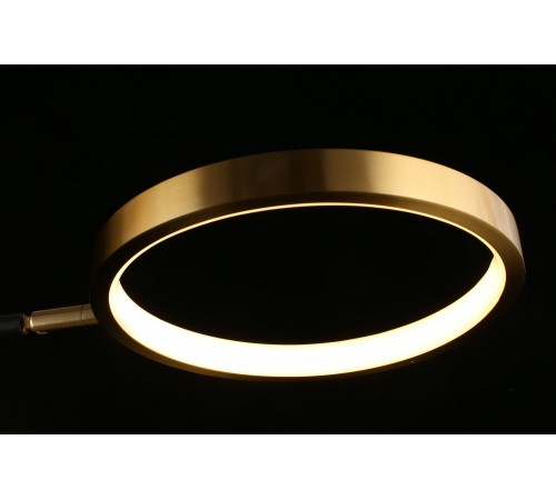 Потолочная люстра Aployt APL.043.07.50 Ines