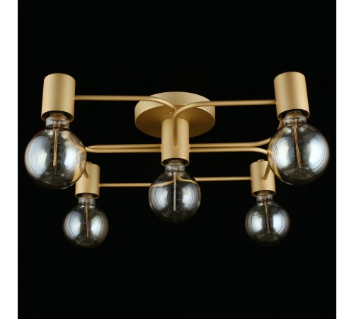 Потолочная люстра Aployt APL.911.07.05 Elison