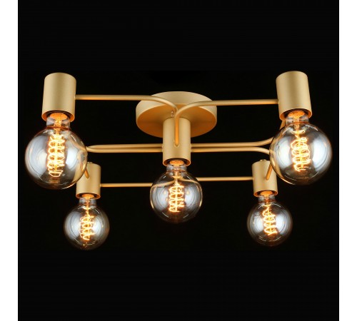 Потолочная люстра Aployt APL.911.07.05 Elison