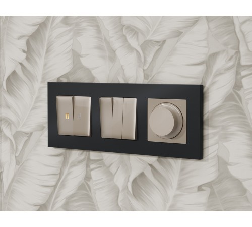 Клавиши для выключателя двухклавишного c подсветкой Quant AP3640