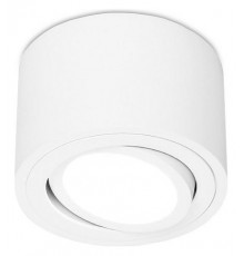 Накладной светильник Ambrella Light TN222 TN