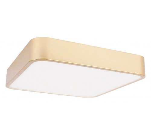 Накладной светильник Loft it 10228/C Flims