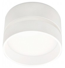 Накладной светильник Ambrella Light TN620 TN