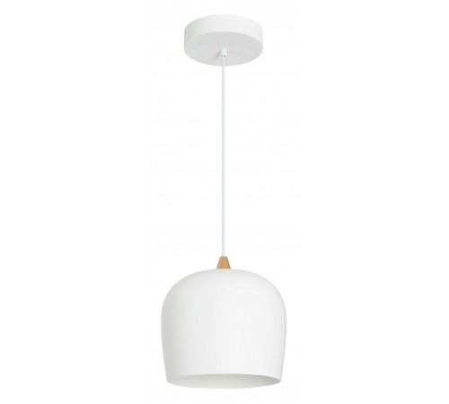 Подвесной светильник Arlight 039548 PEONY