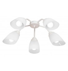 Потолочная люстра Vitaluce V31950/5PL V31950