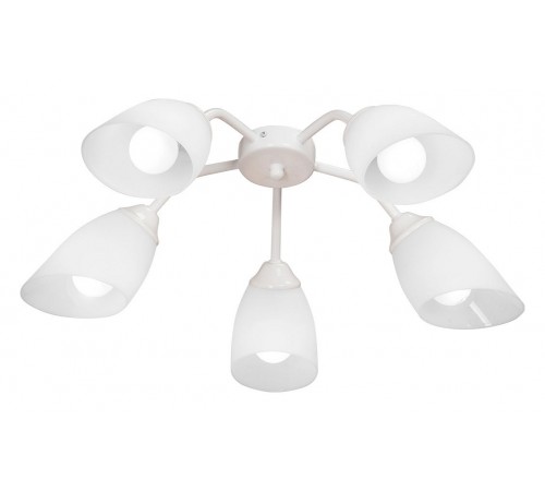 Потолочная люстра Vitaluce V31950/5PL V31950