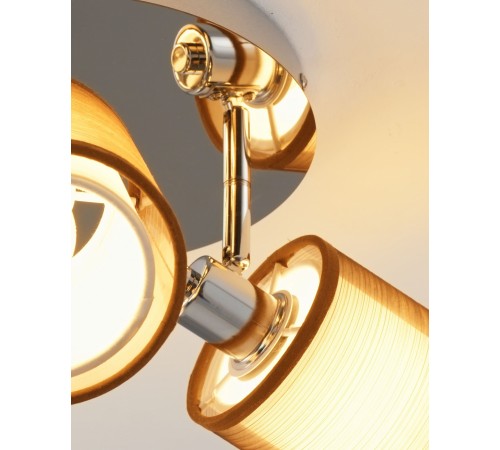 Потолочная люстра Moderli V10627-3C Room