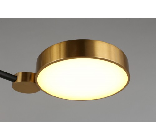 Потолочная люстра Aployt APL.043.07.50 Ines