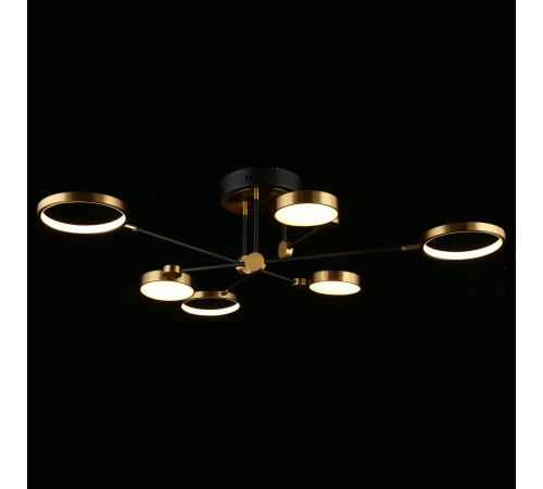 Потолочная люстра Aployt APL.043.07.50 Ines