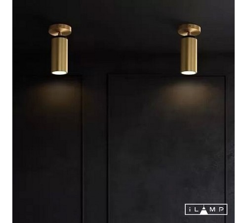 Спот iLamp 8861C BR-BK Plum