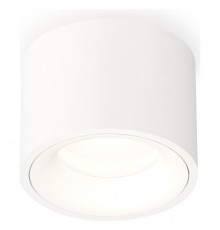 Накладной светильник Ambrella Light XS7510020 XS