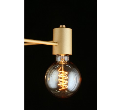 Потолочная люстра Aployt APL.911.07.05 Elison