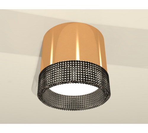 Накладной светильник Ambrella Light XS8121021 XS