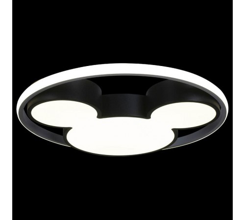 Накладной светильник Loft it 10165 Mike