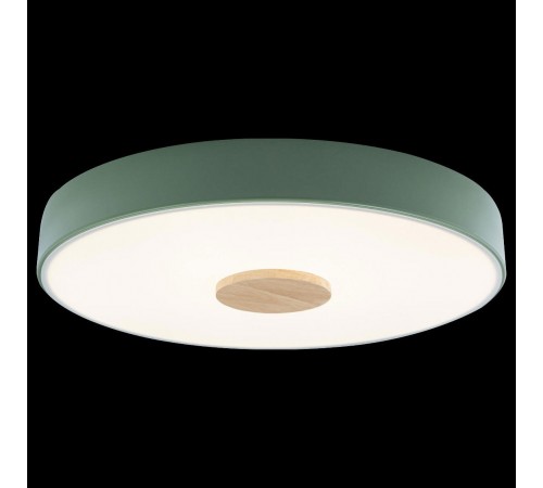 Накладной светильник Loft it 10003/24 Green Axel 2