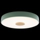 Накладной светильник Loft it 10003/24 Green Axel 2