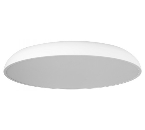 Накладной светильник Loft it 10371 White Dime