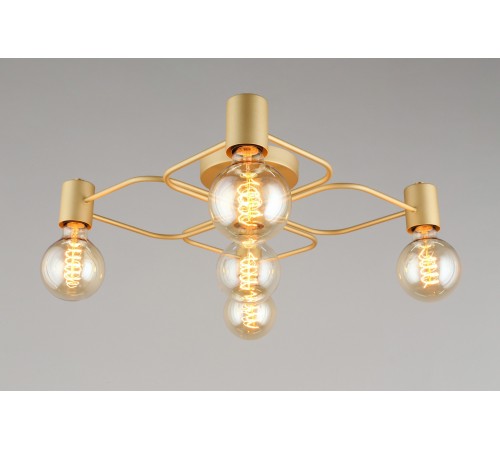 Потолочная люстра Aployt APL.911.07.05 Elison