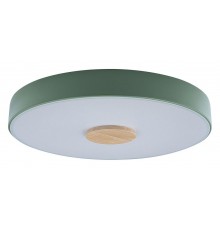 Накладной светильник Loft it 10003/24 Green Axel 2