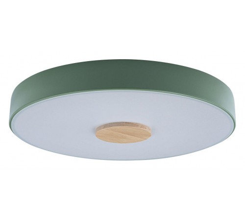 Накладной светильник Loft it 10003/24 Green Axel 2