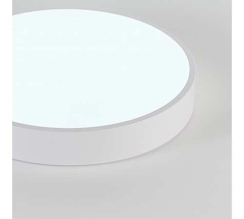 Накладной светильник Natali Kovaltseva LED LAMPS 81111/5C