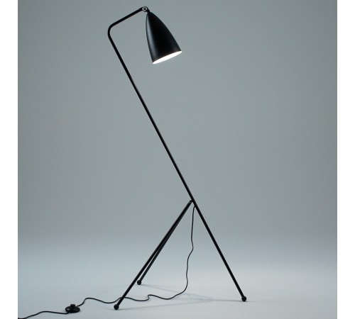 Торшер Moderli V10999-F Show