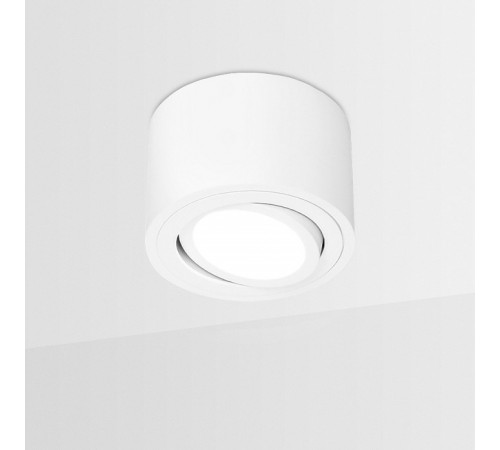 Накладной светильник Ambrella Light TN222 TN