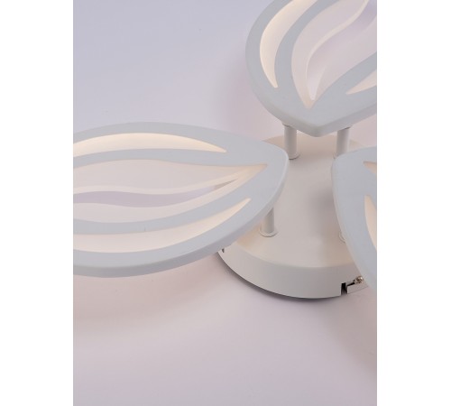 Потолочная люстра Natali Kovaltseva LED LAMPS 81456 SM